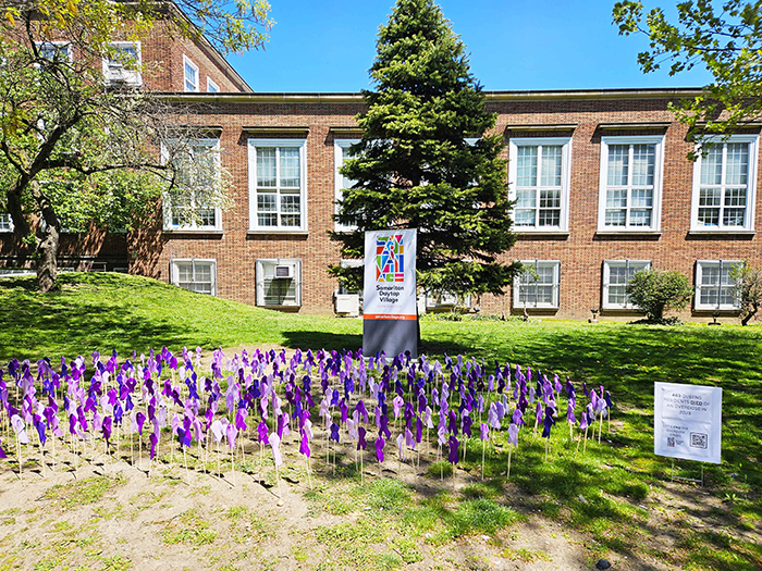 Queens Opioid Awareness
